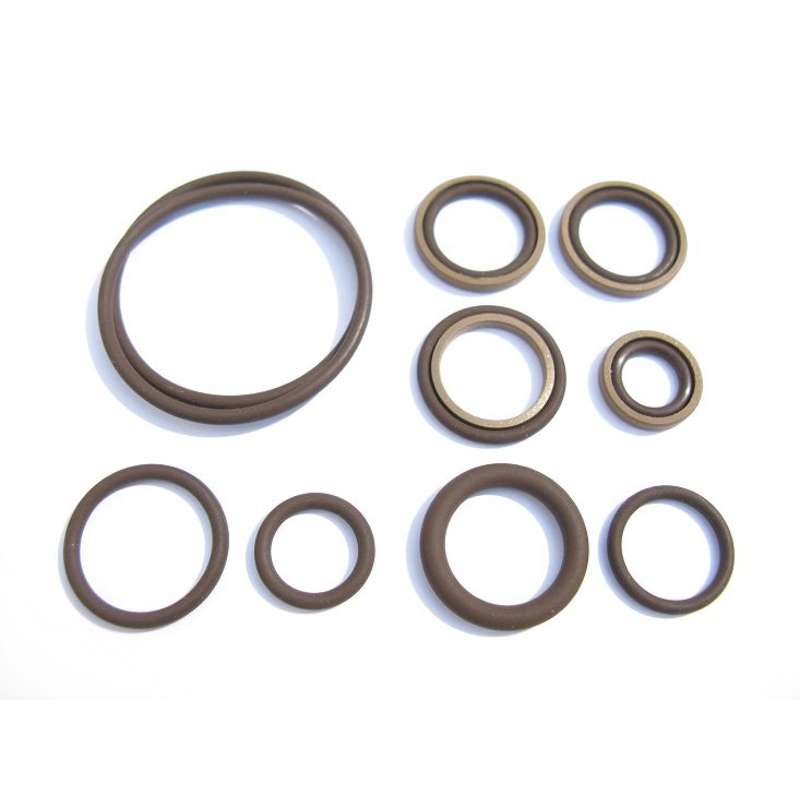 54453 Beisan Dichtsatz Viton Vanoseinheit passend für E36 E46 M3 Z3 M Z4 M S54 BMW 1 Vanoseinheit Dichtsatz