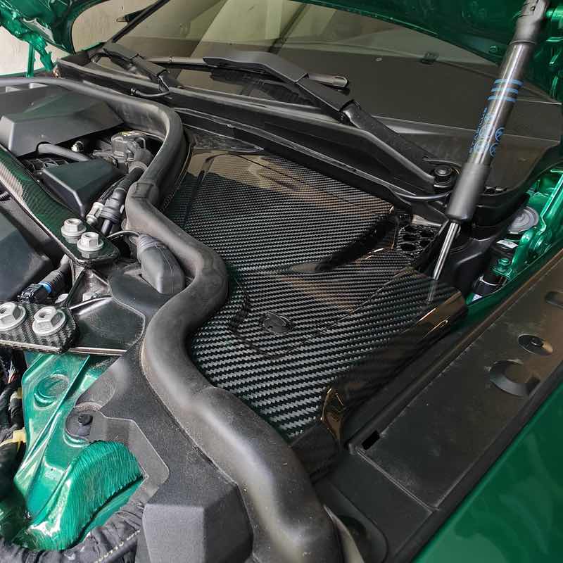 55670 - Kohlefaser Wasserkasten:Filter Abdeckung passend für BMW G8x M3 M4_4 Kohlefaser Abdeckung